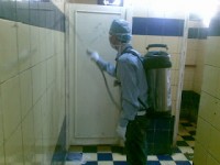 شركة مكافحة حشرات بالاسكندرية 01227294604