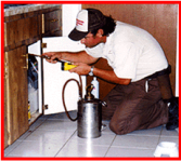 شركة رش حشرات – شركة رش حشرات – شركة مكافحة حشرات 012201227294604