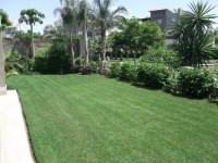 شقة بحديقة رائعة للايجار ببالم هيلز