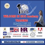 Amadeus ticketing دبلومة حجز تذاكر الطيران