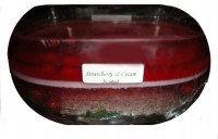 Christmas Splendor Top Red – Candles -Relax