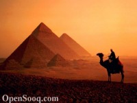 ارض 276 برج العرب الحى الخامس 01223333060