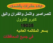 احسن طريقه للتخلص من الصراصير