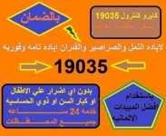 مكافحه الصراصير