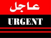 استـــثـــمار قـــانـــونـــى والربــــح مضمــــون