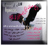 برامج حسابات متنوعه مخازن-اوراكل-مقاولات-سياحه-مقاولات-سمسارعقاري وبيع وحدات جاهزه