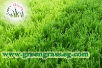 استفيد الان من ارخص عروض النجيل الصناعى