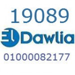GOLDIصيانة جولدى 19089 – 01000081193