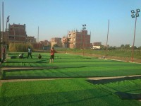 نجيلة صناعى ولاند سكيب