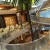 CAFE-Korba Hieghts Perspective 01