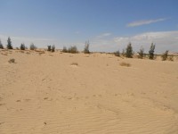 استنه استنه شوف كدا بعنيك وبعدين احكم في الاخير