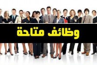 مطلوب سيلز من الجنسين