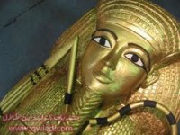 شركة عالمية تطلب للعمل من المنزل جميع الاعمار